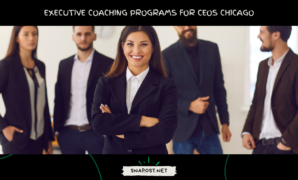 Executive Coaching Programs for CEO