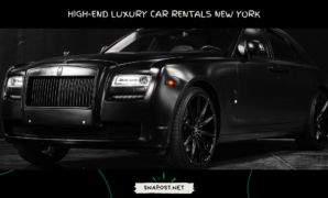 Luxury Car Rentals