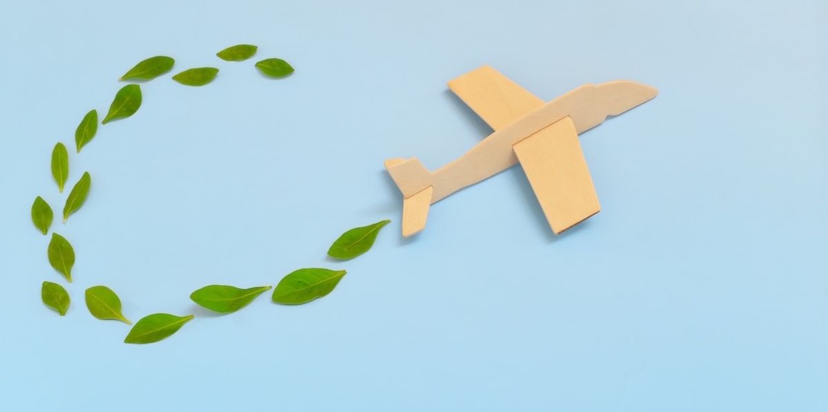 Travelers, airlines want sustainability; standards will help