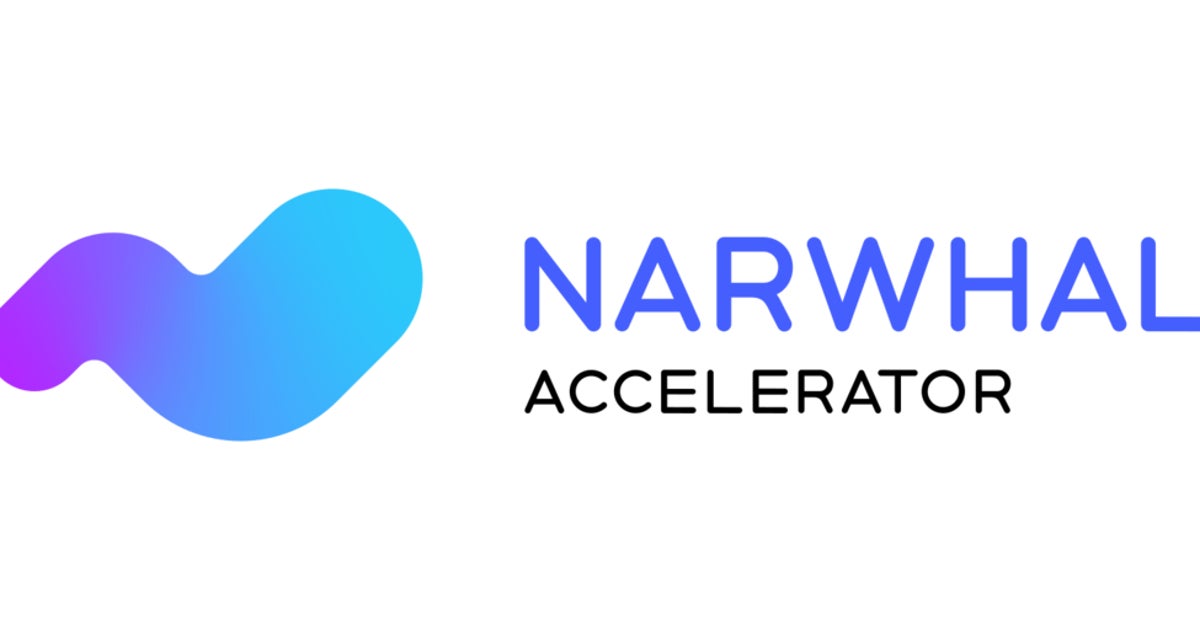 Dmitrii Filatov and Grigory Bortnik launch Narwhal Accelerator