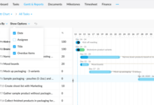 Project management budgeting tools