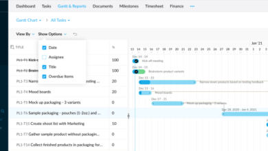 Project management budgeting tools