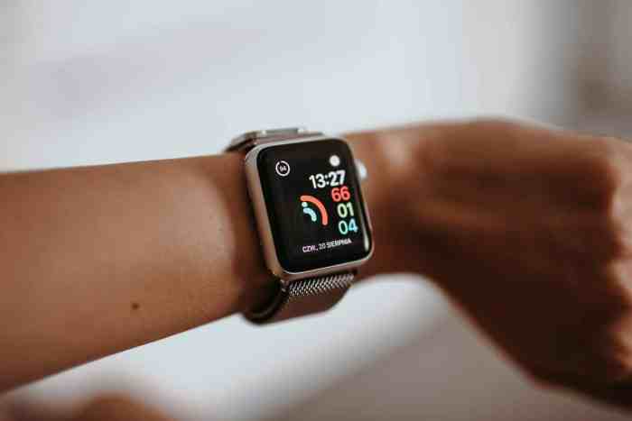 Vet finds that apple watch doesnt only track human heart rates but this animals too