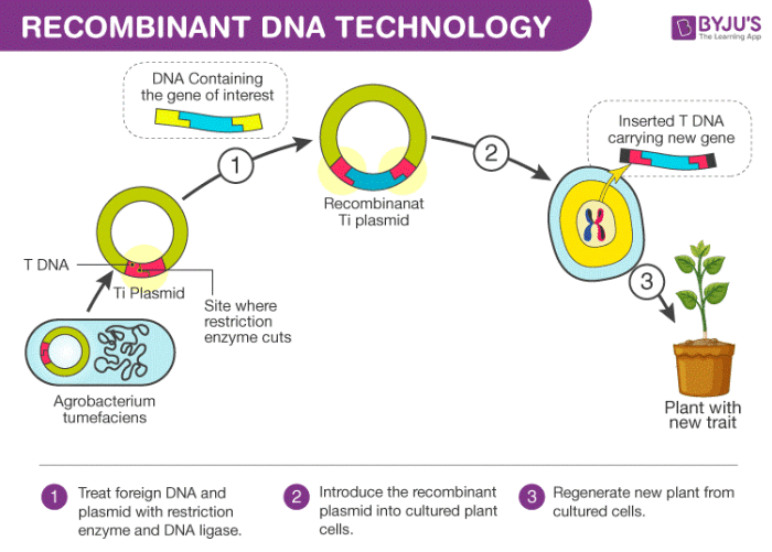 Five free and reliable cloning tools