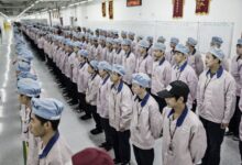 50000 fresh workers descend on factories for iphone 16 launch