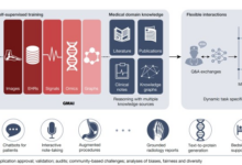 Public or proprietary generative ai