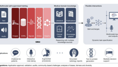 Public or proprietary generative ai