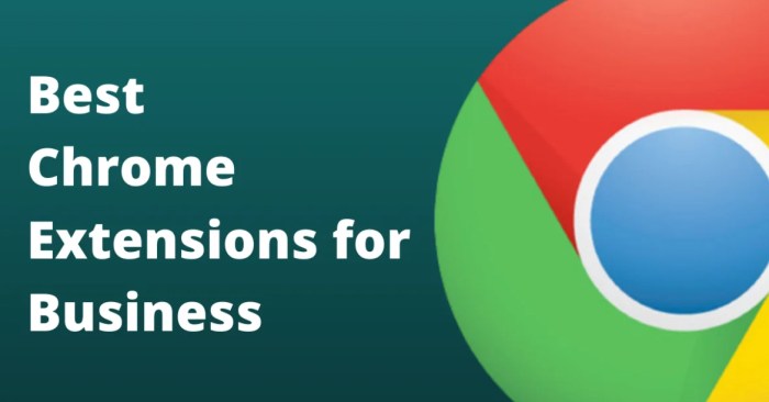 Best chrome extensions business