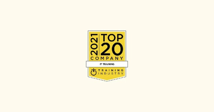 The top 20 it training companies