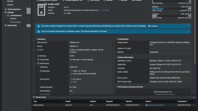 Vmware esxi ransomware cicada3301