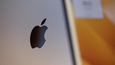 Apple us government ai voluntary commitment