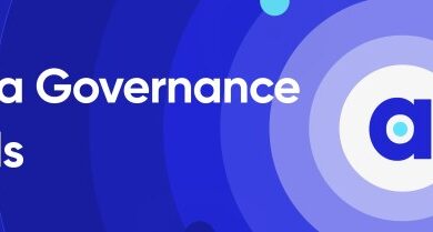 What are data governance tools