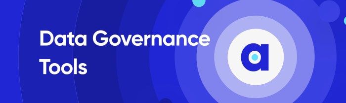 What are data governance tools