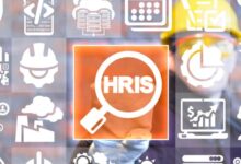 Hris software for small businesses
