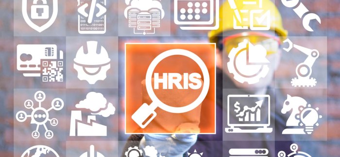 Hris software for small businesses