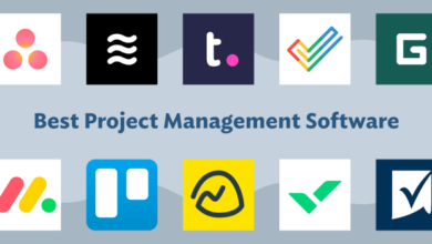 Windows project management software