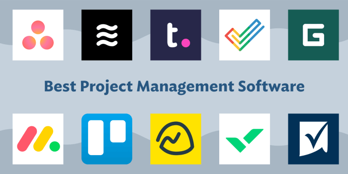 Windows project management software