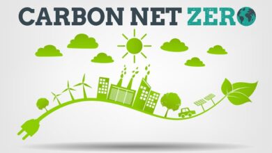 Tech takes diverse approaches sustainability including net zero carbon