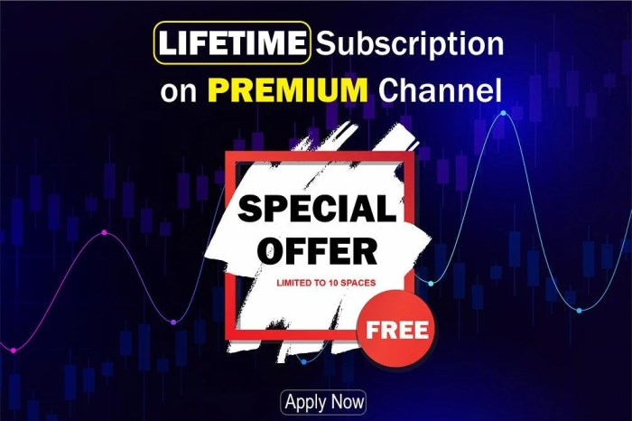 Unum pro lifetime subscription