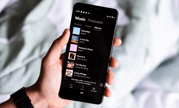 Spotifys lossless music support could finally be on the way via the music pro add on instead of a whole new tier