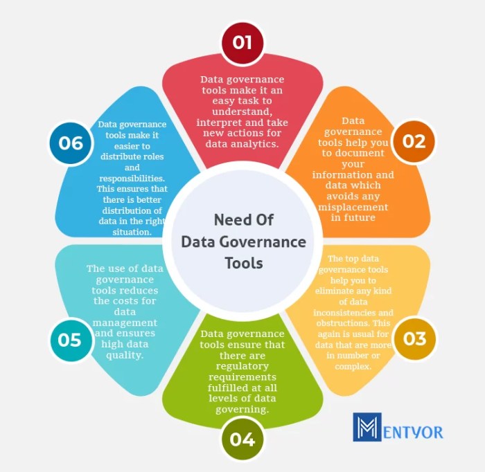 Top data governance tools