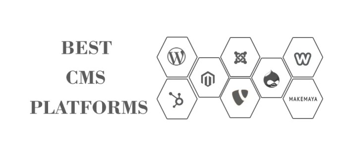 Best cms platforms for developers