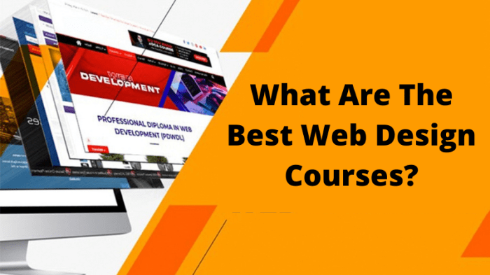 Best web design courses