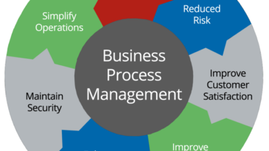Business process management software