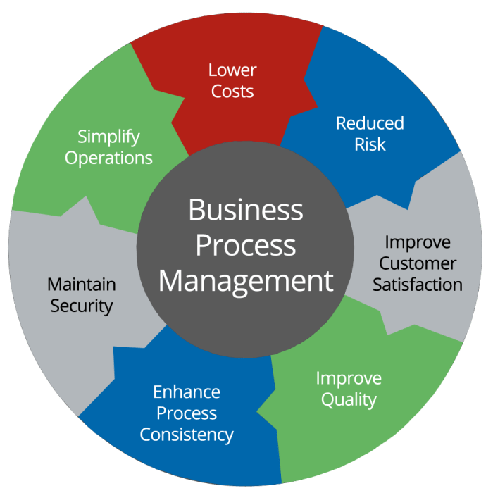Business process management software