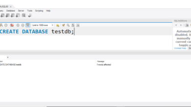 Create mysql 8 database user remote access databases