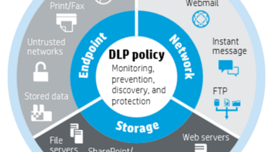 What is data loss prevention