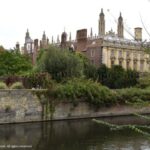 Uk new tech company decline