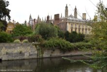 Uk new tech company decline