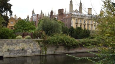 Uk new tech company decline