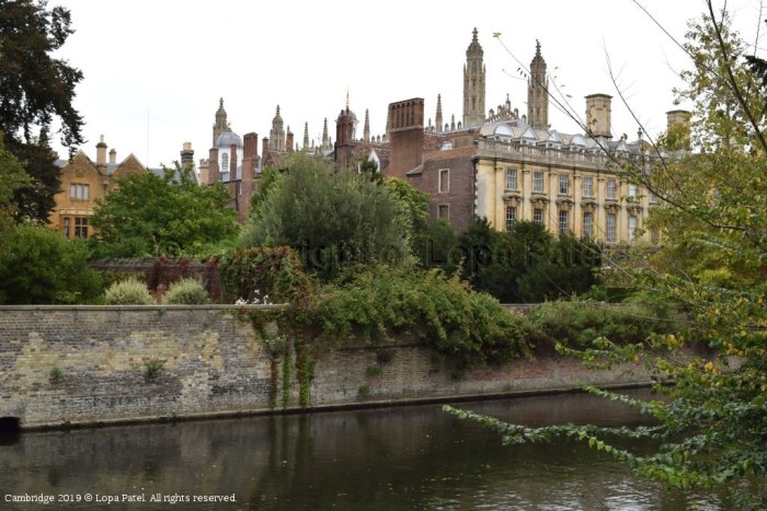 Uk new tech company decline