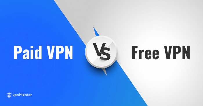 Paid vpn vpns premium anonymania