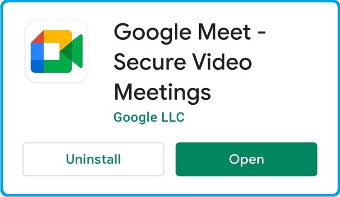 Google workspace use meet