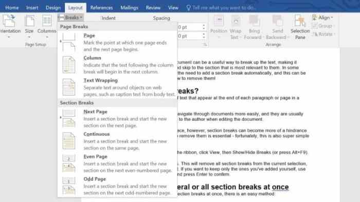 Understand how section breaks control formatting in word