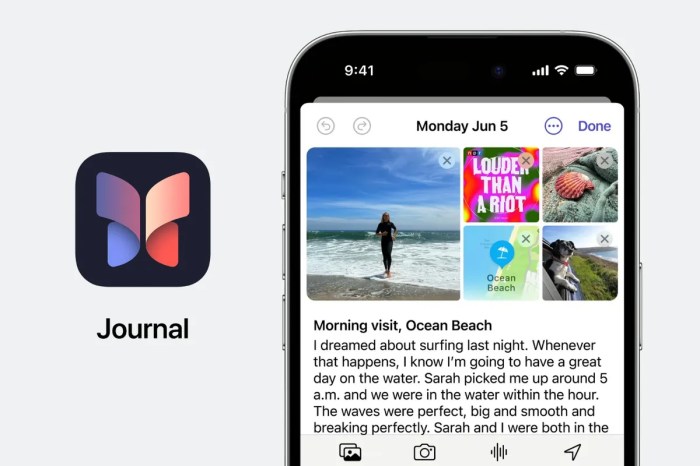 The iphone journal app is good but vision pro could make it great