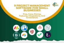 Small business project management software