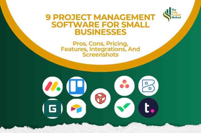 Small business project management software