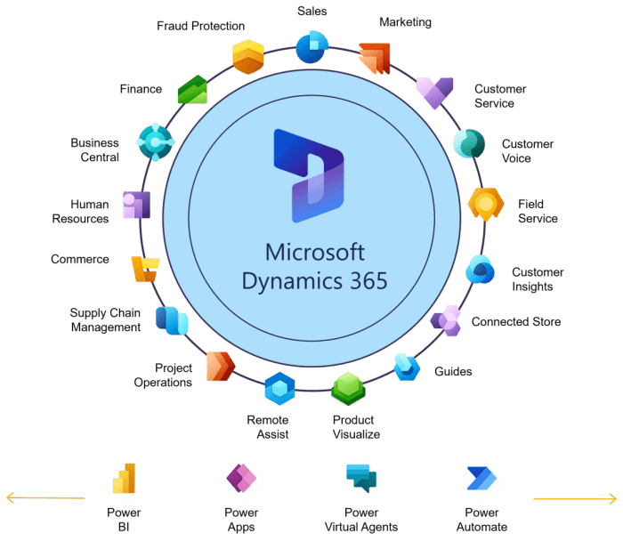 Microsoft dynamics vs salesforce