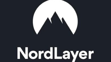 Install nordlayer vpn client linux and connect virtual network