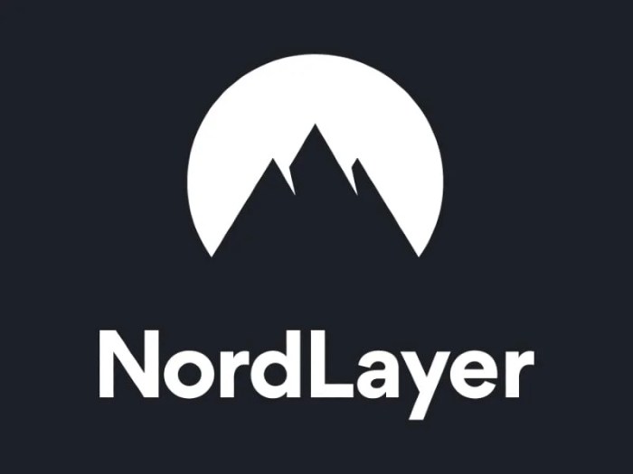 Install nordlayer vpn client linux and connect virtual network