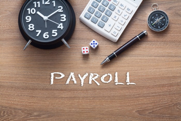Payroll manager
