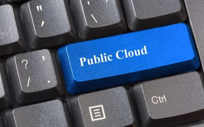 What are public clouds