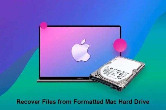 Icon hard drive disk partition mac os harddrive hd macintosh icons desktop ico external library icns cool like hide onyx