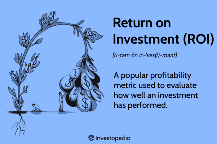 What is return on investment