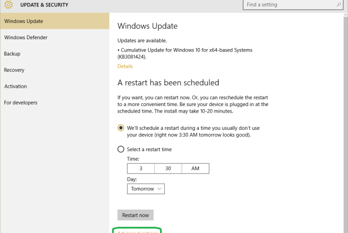 Windows 10 extended security updates