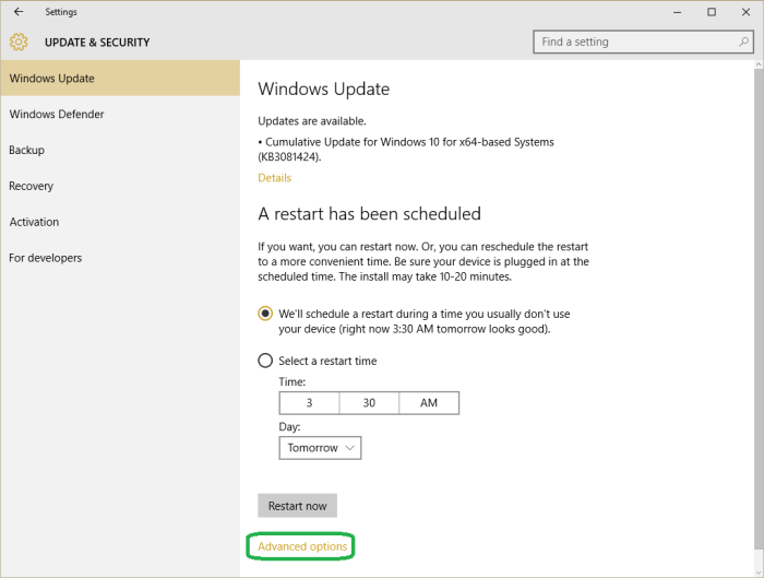 Windows 10 extended security updates